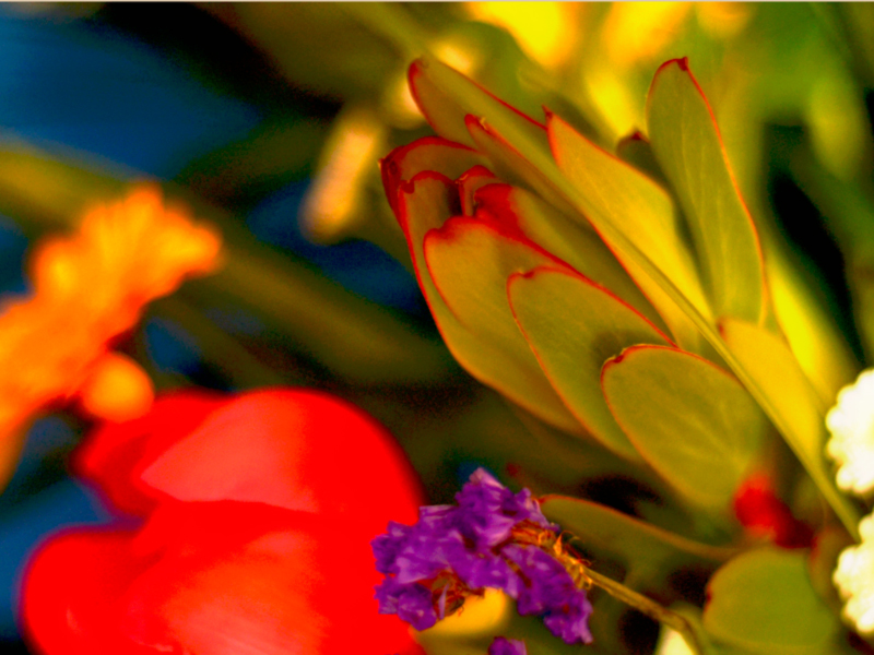 		 Always work with the best quality  flowers.