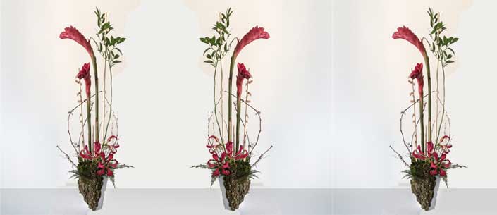 	Lineal arrangements to rise up all standards	 